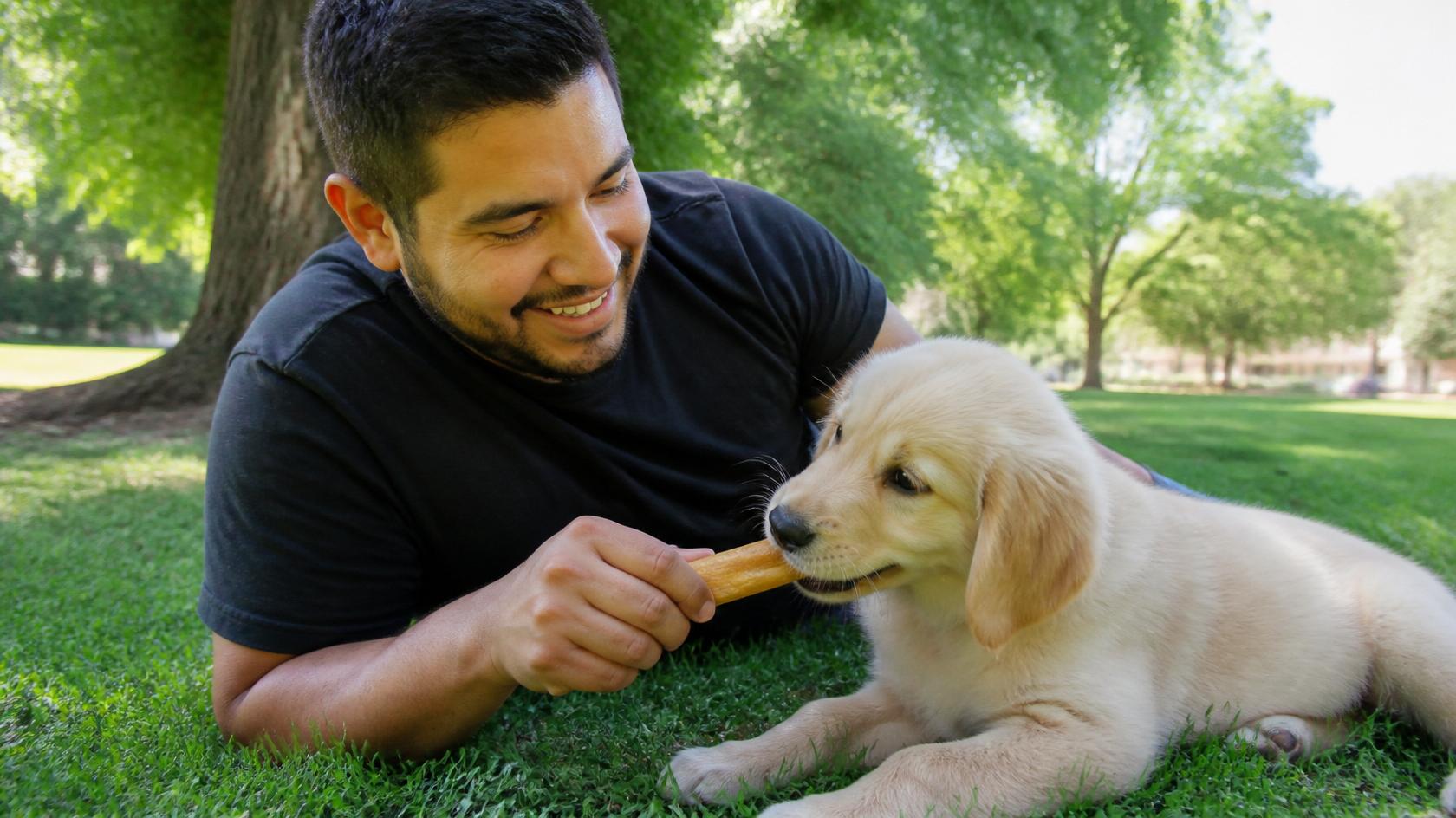 Sharing an Original Chew with a puppy